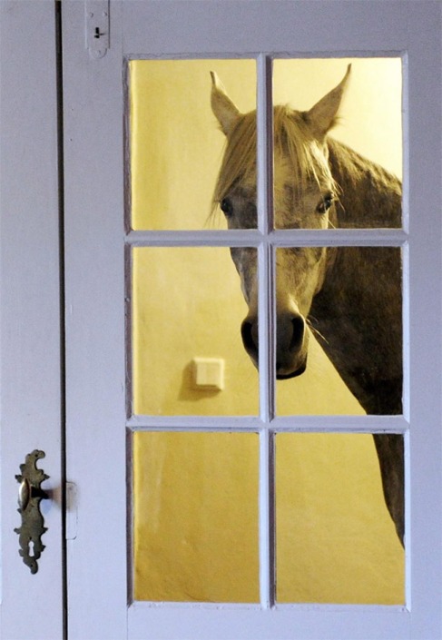 Nasar pet horse of Dr. Stephanie Arndt Photo by Carsten Rehder