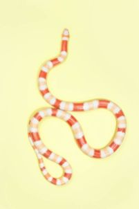 snake 6a